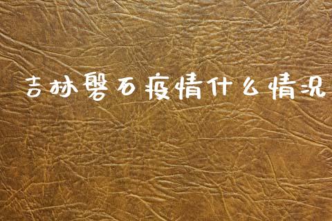吉林磐石疫情什么情况_https://wap.yjjixie.cn_商业资讯_第1张