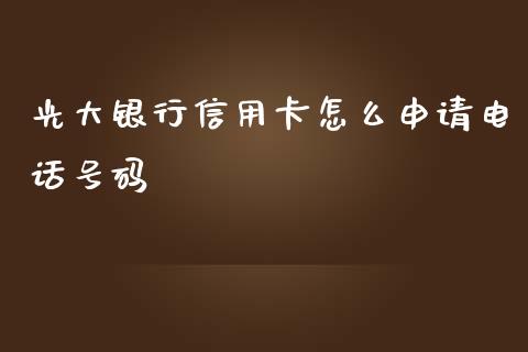 光大银行信用卡怎么申请电话号码_https://wap.yjjixie.cn_保险理财_第1张