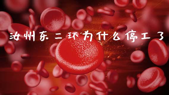 汝州东二环为什么停工了_https://wap.yjjixie.cn_证券市场_第1张