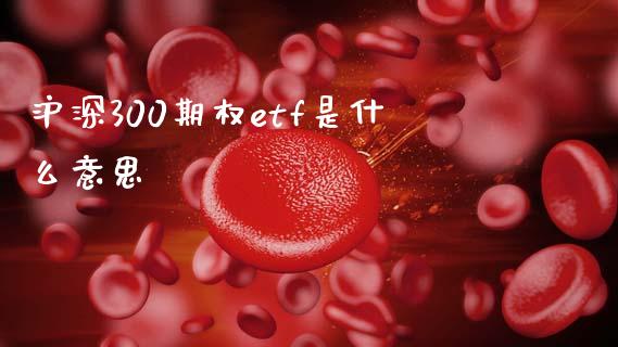 沪深300期权etf是什么意思_https://wap.yjjixie.cn_商业资讯_第1张