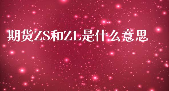 期货ZS和ZL是什么意思_https://wap.yjjixie.cn_保险理财_第1张
