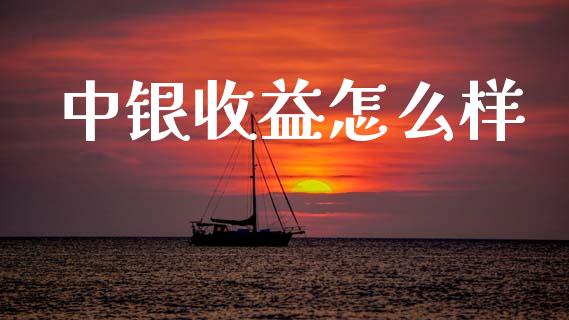中银收益怎么样_https://wap.yjjixie.cn_证券市场_第1张