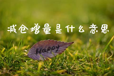 减仓增量是什么意思_https://wap.yjjixie.cn_证券市场_第1张