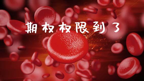 期权权限到了_https://wap.yjjixie.cn_港股行情_第1张