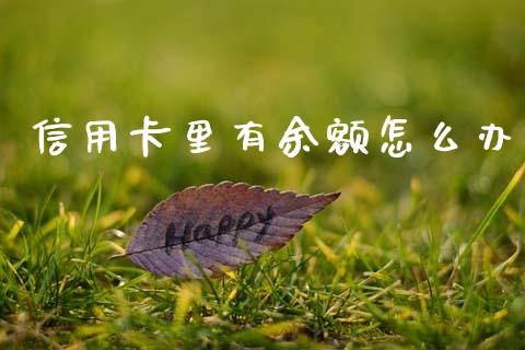 信用卡里有余额怎么办_https://wap.yjjixie.cn_证券市场_第1张