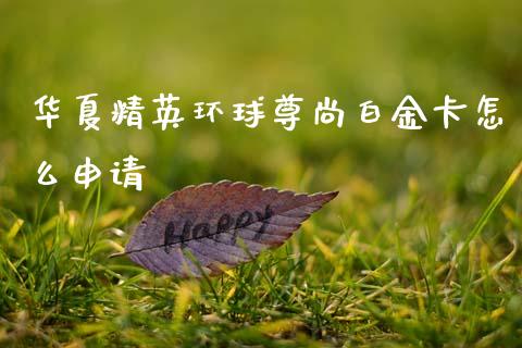 华夏精英环球尊尚白金卡怎么申请_https://wap.yjjixie.cn_保险理财_第1张