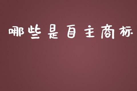 哪些是自主商标_https://wap.yjjixie.cn_港股行情_第1张