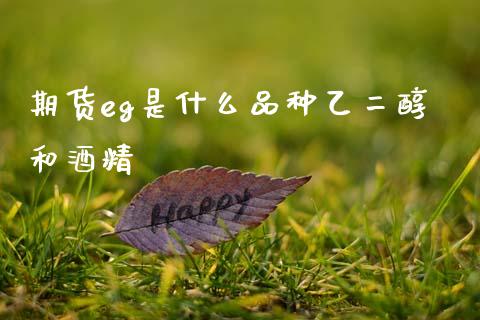 期货eg是什么品种乙二醇和酒精_https://wap.yjjixie.cn_保险理财_第1张