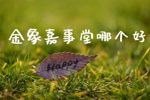 金象嘉事堂哪个好_https://wap.yjjixie.cn_证券市场_第1张
