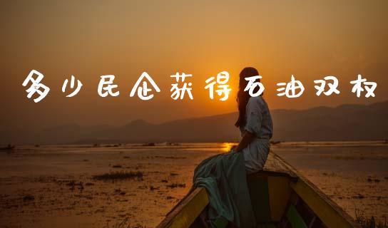 多少民企获得石油双权_https://wap.yjjixie.cn_证券市场_第1张