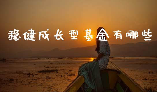 稳健成长型基金有哪些_https://wap.yjjixie.cn_港股行情_第1张