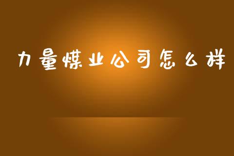 力量煤业公司怎么样_https://wap.yjjixie.cn_商业资讯_第1张