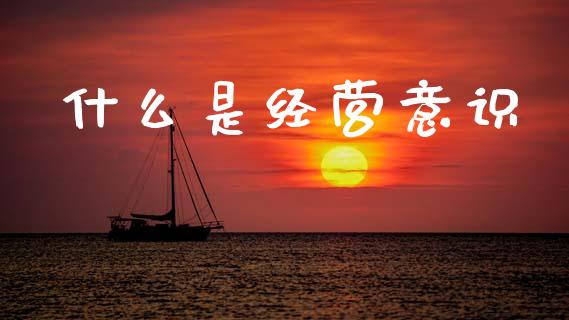 什么是经营意识_https://wap.yjjixie.cn_证券市场_第1张