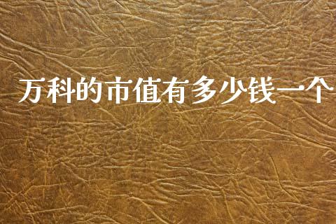 万科的市值有多少钱一个_https://wap.yjjixie.cn_港股行情_第1张