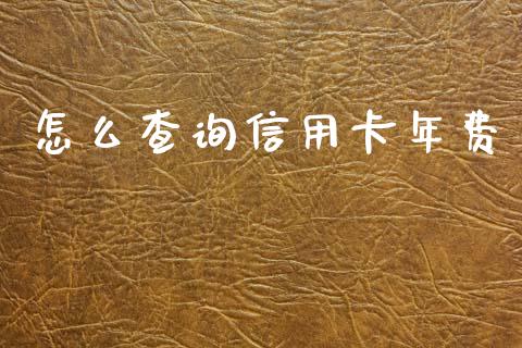 怎么查询信用卡年费_https://wap.yjjixie.cn_证券市场_第1张