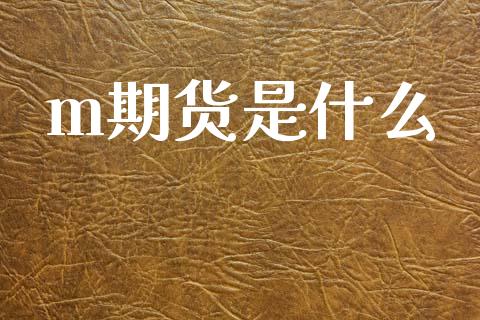 m期货是什么_https://wap.yjjixie.cn_证券市场_第1张