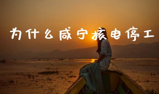 为什么咸宁核电停工_https://wap.yjjixie.cn_港股行情_第1张