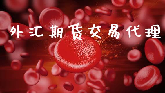 外汇期货交易代理_https://wap.yjjixie.cn_港股行情_第1张