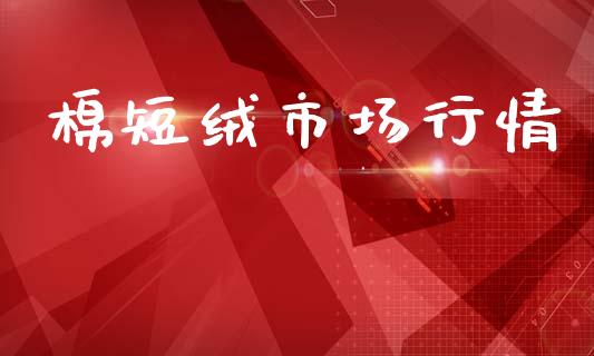 棉短绒市场行情_https://wap.yjjixie.cn_证券市场_第1张