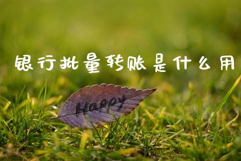 银行批量转账是什么用_https://wap.yjjixie.cn_证券市场_第1张