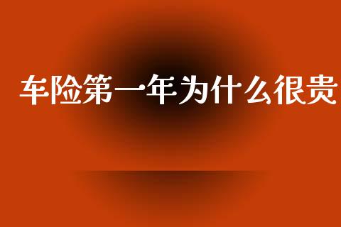 车险第一年为什么很贵_https://wap.yjjixie.cn_商业资讯_第1张