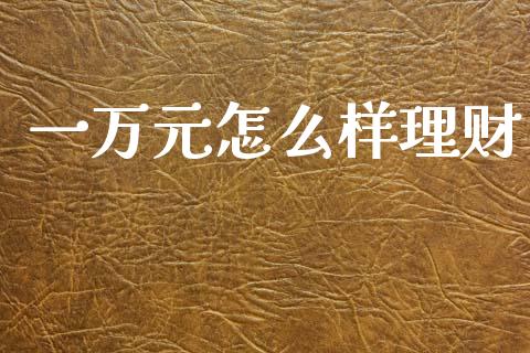 一万元怎么样理财_https://wap.yjjixie.cn_证券市场_第1张