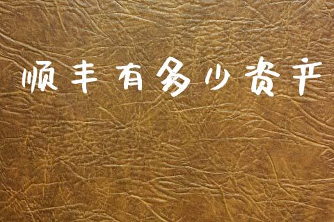 顺丰有多少资产_https://wap.yjjixie.cn_保险理财_第1张