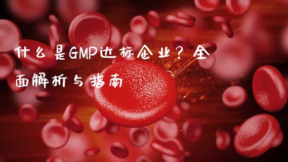 什么是GMP达标企业？全面解析与指南_https://wap.yjjixie.cn_证券市场_第1张
