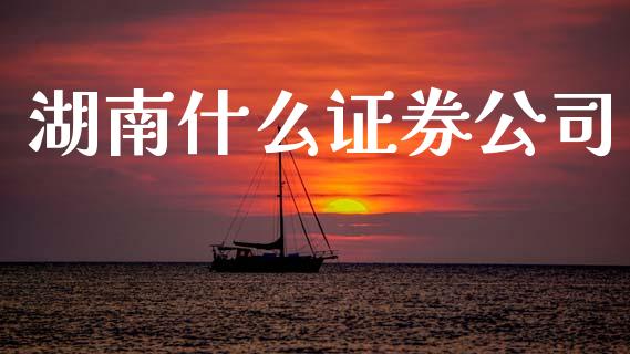 湖南什么证券公司_https://wap.yjjixie.cn_保险理财_第1张