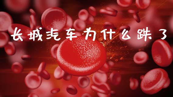 长城汽车为什么跌了_https://wap.yjjixie.cn_证券市场_第1张