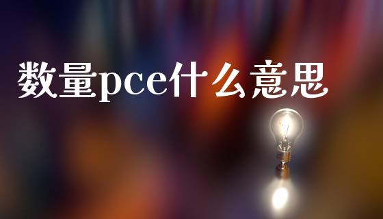 数量pce什么意思_https://wap.yjjixie.cn_商业资讯_第1张