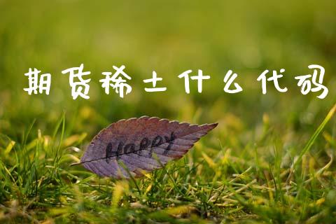 期货稀土什么代码_https://wap.yjjixie.cn_保险理财_第1张