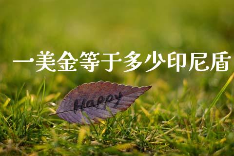 一美金等于多少印尼盾_https://wap.yjjixie.cn_港股行情_第1张