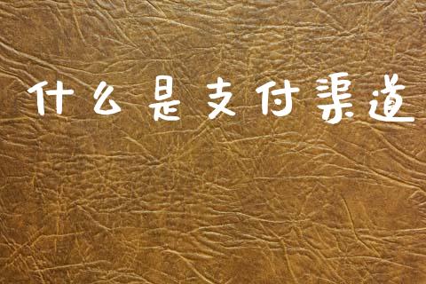什么是支付渠道_https://wap.yjjixie.cn_证券市场_第1张