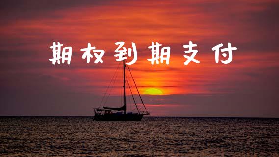期权到期支付_https://wap.yjjixie.cn_港股行情_第1张