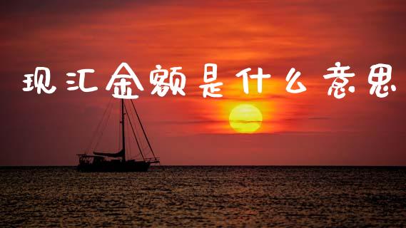 现汇金额是什么意思_https://wap.yjjixie.cn_证券市场_第1张