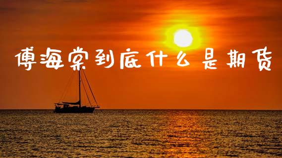 傅海棠到底什么是期货_https://wap.yjjixie.cn_证券市场_第1张