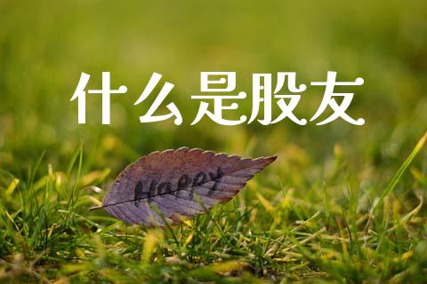 什么是股友_https://wap.yjjixie.cn_商业资讯_第1张