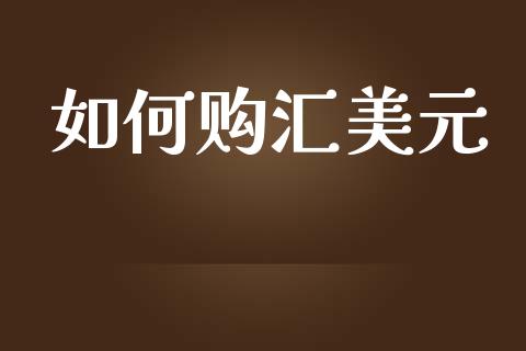 如何购汇美元_https://wap.yjjixie.cn_港股行情_第1张