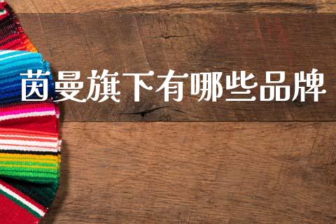 茵曼旗下有哪些品牌_https://wap.yjjixie.cn_保险理财_第1张