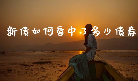 新债如何看中了多少债券_https://wap.yjjixie.cn_港股行情_第1张