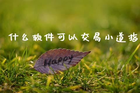 什么软件可以交易小道指_https://wap.yjjixie.cn_港股行情_第1张