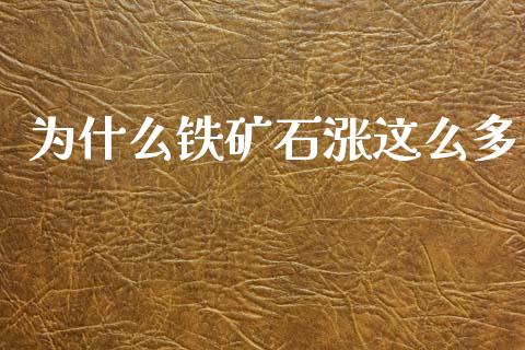 为什么铁矿石涨这么多_https://wap.yjjixie.cn_商业资讯_第1张