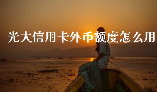 光大信用卡外币额度怎么用_https://wap.yjjixie.cn_保险理财_第1张