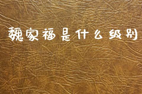 魏家福是什么级别_https://wap.yjjixie.cn_商业资讯_第1张