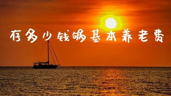 存多少钱够基本养老费_https://wap.yjjixie.cn_商业资讯_第1张