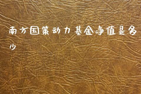 南方国策动力基金净值是多少_https://wap.yjjixie.cn_保险理财_第1张
