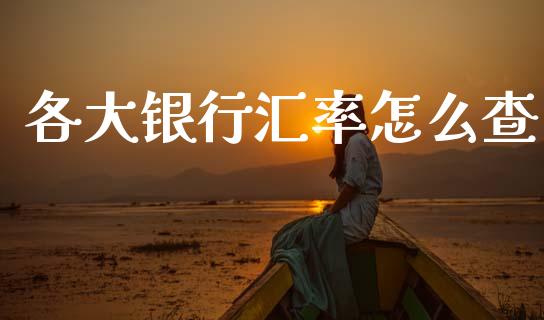 各大银行汇率怎么查_https://wap.yjjixie.cn_保险理财_第1张