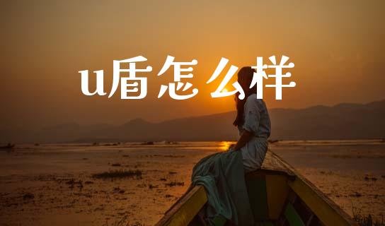 u盾怎么样_https://wap.yjjixie.cn_港股行情_第1张