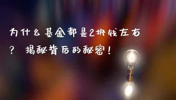 为什么基金都是2块钱左右？ 揭秘背后的秘密！_https://wap.yjjixie.cn_商业资讯_第1张